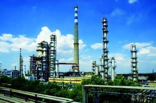 污水池里魚兒活蹦跳？化工廢水治理的真相與挑戰