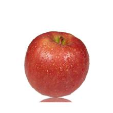 食用農(nóng)產(chǎn)品市場(chǎng)全景 從蘋(píng)果種植到批發(fā)終端的產(chǎn)業(yè)鏈剖析