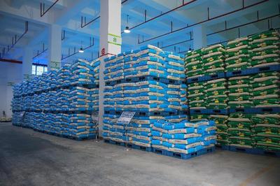 訂單引領，品牌賦能 四川豐裕公司助力大英打造“天府糧倉”食用農產品批發新高地