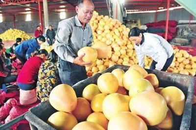厲害了！湖北19個特產受國家保護，以你家鄉命名食用農產品批發